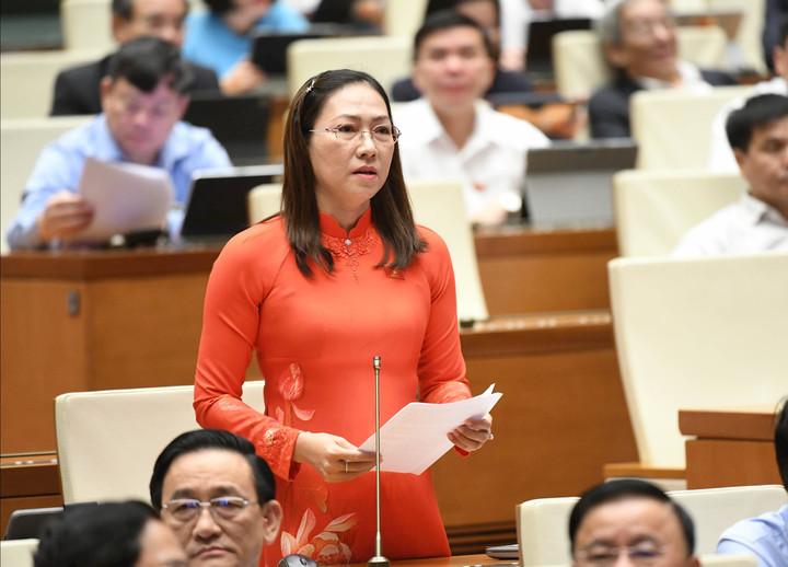 Đại biểu Nguyễn Thị Yến Nhi (tỉnh Vĩnh Long) nhấn mạnh bắt cóc online đang là một thách thức mới của thời đại số.