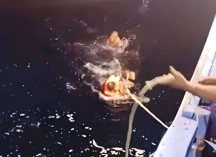 Sau khi bị hành hung, 2 anh em thuyền viên phải nhảy xuống biển để tránh. (Ảnh: Ngư dân cung cấp)