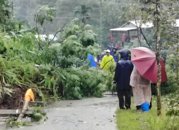 Sạt lở khiến 5 ngôi nhà ở Trà Linh bị vùi lấp.