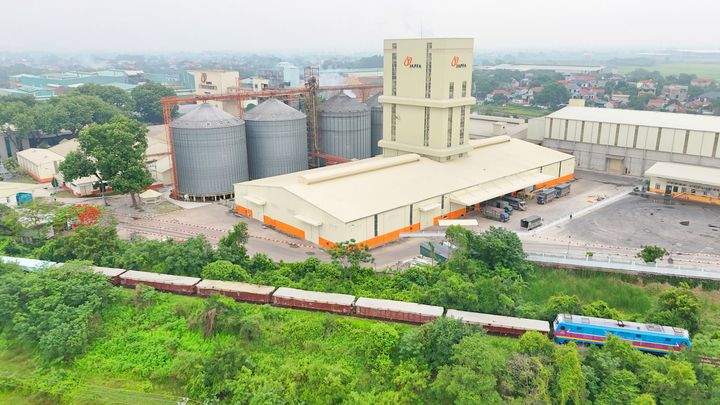 Công ty đầu tư nhà máy thức ăn chăn nuôi quy mô lớn với dây chuyền sản xuất tự động.