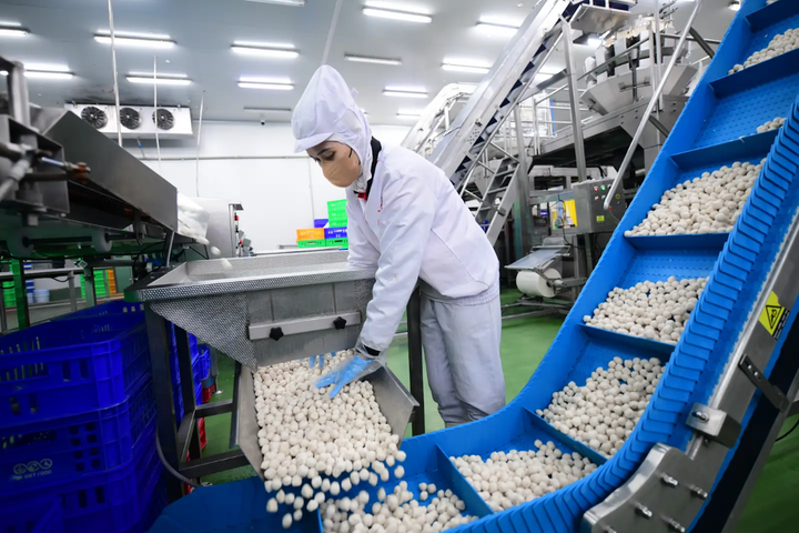 Bên trong dây chuyền sản xuất của LC Foods.