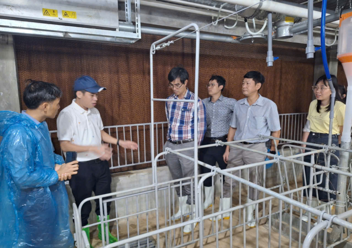 Přednášející, výzkumníci a studenti magisterského studia Fakulty chovu zvířat navštívili vepřín společnosti GREENFEED Vietnam Joint Stock Company v provincii Thanh Hoa.