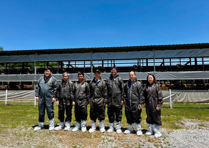 Přednášející a učitelé provázejí návštěvníky na dobytčí farmu Hanwoo v Koreji.