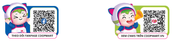 Saigon Co.op tung ‘Triệu deal tri ân’ – mở màn tháng cao điểm mua sắm cuối năm - 6