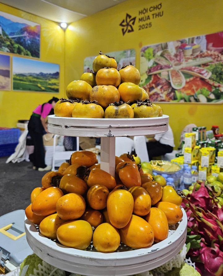 Những món ăn đặc sản của Sơn La được giới thiệu đến du khách.