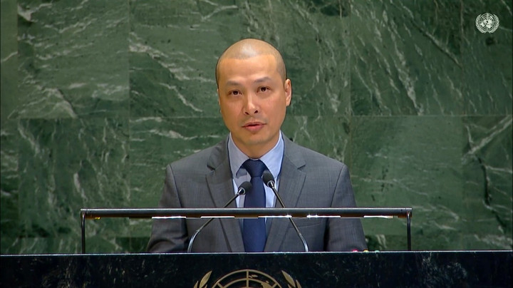 Công sứ Nguyễn Hoàng Nguyên, Đại biện lâm thời Phái đoàn Thường trực Việt Nam tại Liên hợp quốc