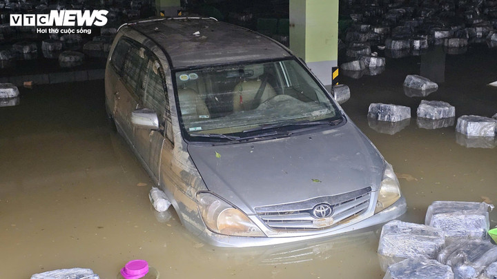 Những chiếc ô tô bị ngập nặng khi để trong các tầng hầm.