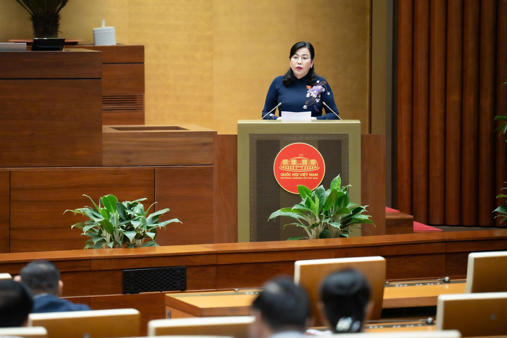 Ketua Komite Sains, Teknologi, dan Lingkungan Hidup Nguyen Thanh Hai menyampaikan laporan inspeksi. (Foto: quochoi.vn)