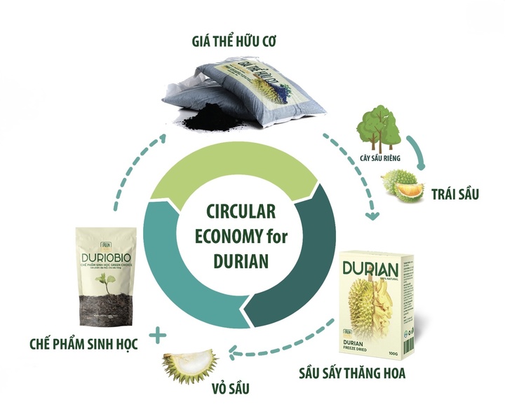 Bộ sản phẩm tuần hoàn từ quả sầu riêng