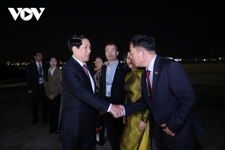 Cán bộ, nhân viên Đại sứ quán Việt Nam tại Hàn Quốc tiễn Chủ tịch nước tại sân bay