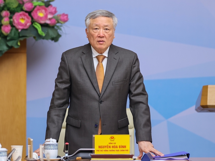 응우옌 호아 빈 상임부총리가 연설하고 있다(사진: VGP).