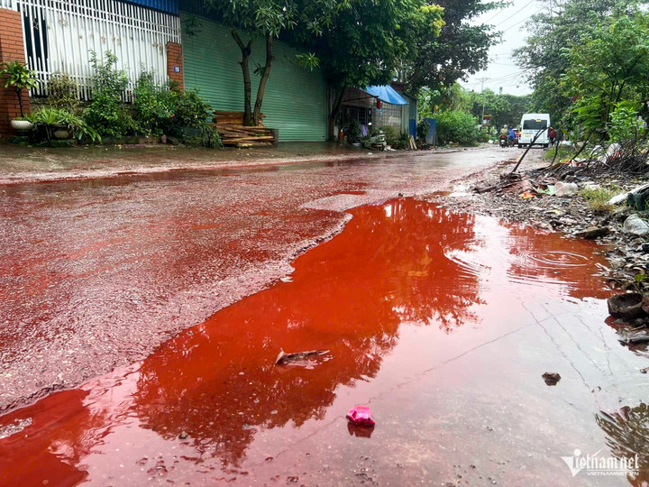 Đoạn đường phủ chất lỏng màu đỏ.