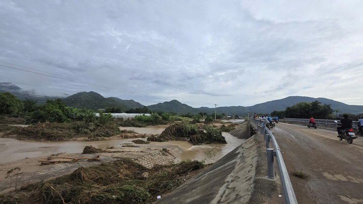 Vườn tược người dân bị thiệt hại rất lớn.