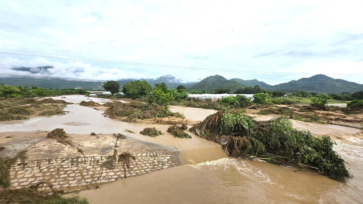 Kênh mương chứa đầy cây cối, hoa màu nằm ngổn ngang khắp nơi.