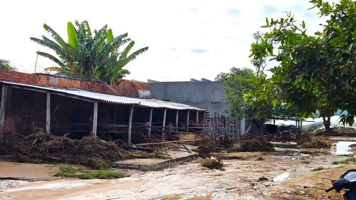 Nhiều chuồng trại của người dân bị nước cuốn trôi.