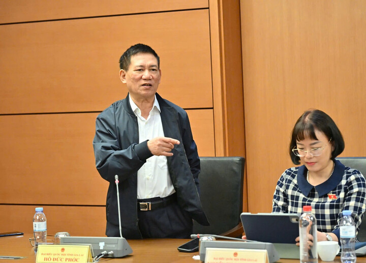 Vice premiärminister Ho Duc Phoc vid mötet i gruppen. (Foto: Nhu Y).