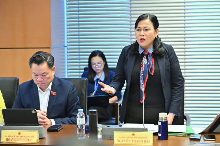 Delegat Nguyen Thanh Hai. (Foto: Nhu Y)