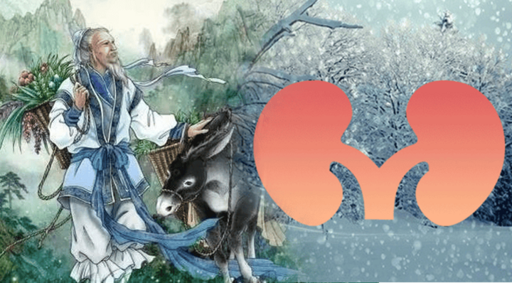 Người xưa quan niệm thận là bộ phận đại diện cho tính 