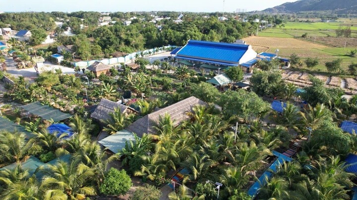 O número de turistas nacionais em Dat Do está aumentando rapidamente graças ao rápido desenvolvimento de modelos de turismo familiar, hospedagem em fazendas e turismo comunitário.