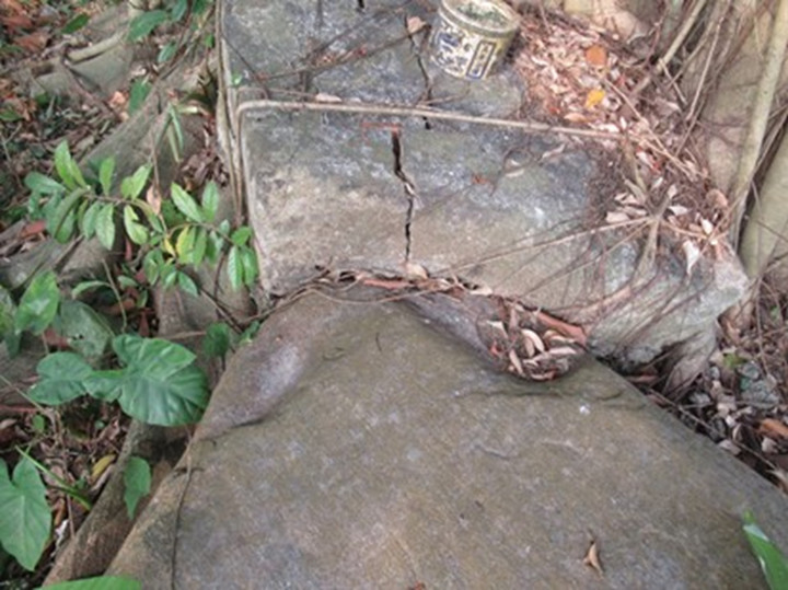 Cội nguồn sức mạnh cho mọi thắng lợi và thăng hoa của dân tộc - 2