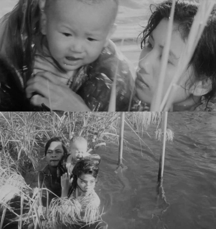 Em bé 9 tháng tuổi để lại ấn tượng với khán giả trong "Cánh đồng hoang".