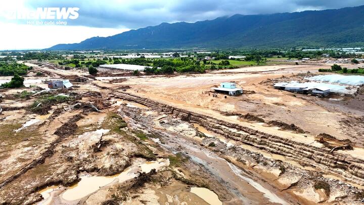 Một vùng cây trái xanh tốt giờ như bãi chiến trường đổ nát.