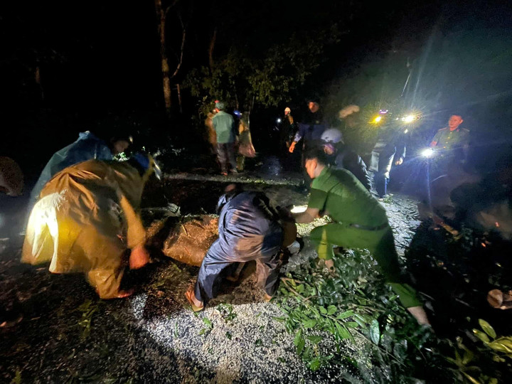 Dọn cây đổ sau bão.