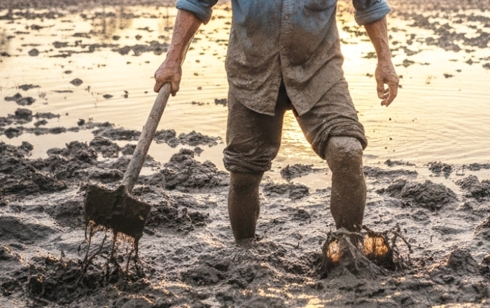 Sau một tuần lội bùn, người đàn ông sốt cao, đau mỏi cơ. (Ảnh minh hoạ)