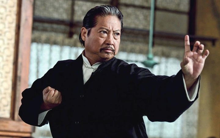 Hồng Kim Bảo là một trong những ngôi sao võ thuật hàng đầu của Hoa ngữ.