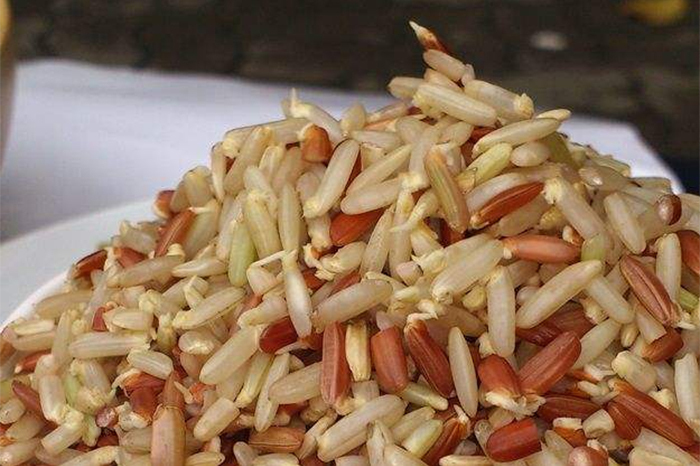 Gạo lứt nảy mầm rất tốt cho sức khỏe. (Ảnh: Sohu)