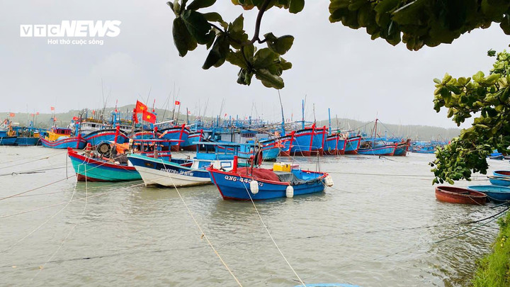 Tàu thuyền neo đậu tại cảng Sa Huỳnh.