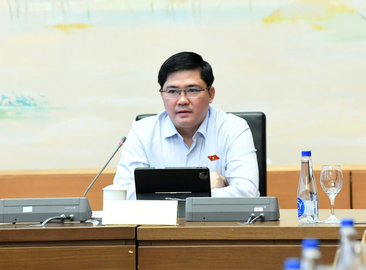 Đại biểu Nguyễn Tuấn Anh.