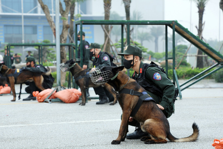 Chó nghiệp vụ được sử dụng để hỗ trợ phát hiện, ngăn chặn, truy lùng, bắt giữ, dẫn giải can phạm; canh gác, bảo vệ mục tiêu; tìm xác người, tìm vật chứng, tìm kiếm cứu nạn; giám biệt nguồn hơi, phát hiện ma túy, thuốc nổ và phục vụ các hoạt động nghiệp vụ khác...