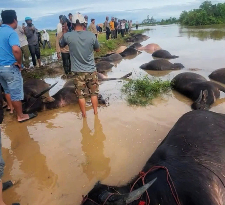 Hiện địa phương đang hỗ trợ người dân để giảm bớt thiệt hại.