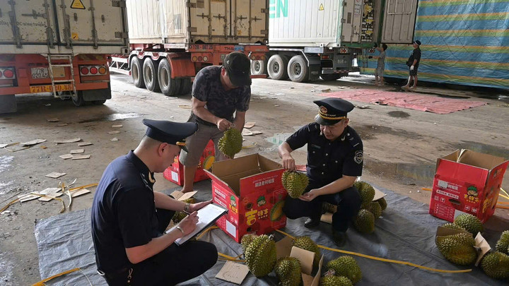 Hải quan Lạng Sơn: Thực thi pháp luật với hiệu quả quản lý, phát triển kinh tế - 3