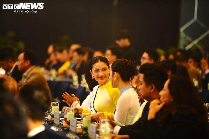 Các hoa hậu, á hậu Việt Nam tham dự buổi họp báo.