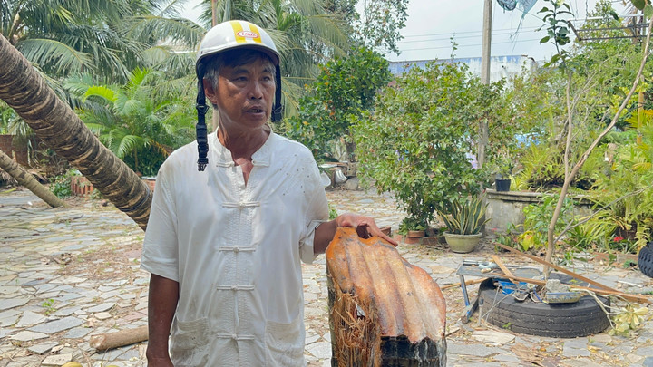 Ông Bình bên cây dừa bị tôn chém ngang.