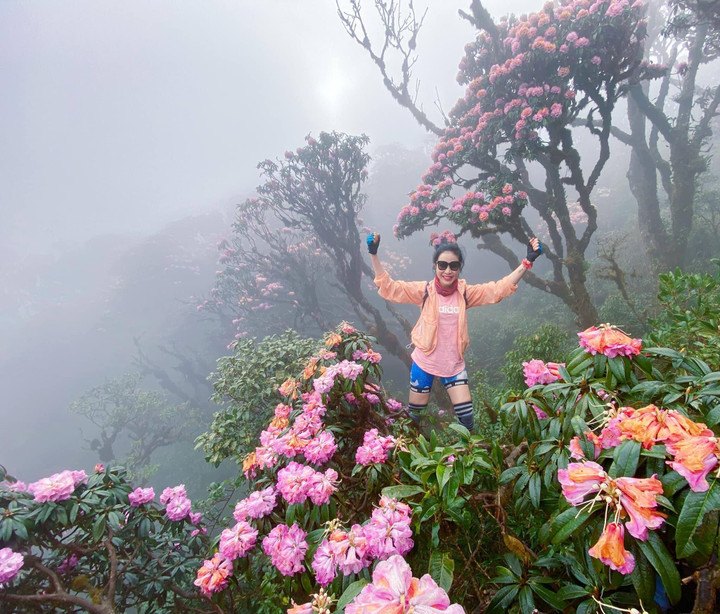 Du khách tham gia tour leo núi ngắm hoa đỗ quyên. (Ảnh: Cục Du lịch Quốc gia Việt Nam)