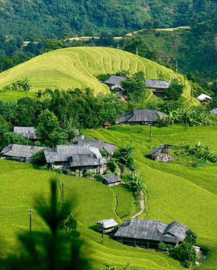 Những ngôi nhà sàn thấp thoáng trên những thửa ruộng bậc thang tuyệt đẹp ở Hoàng Su Phì.