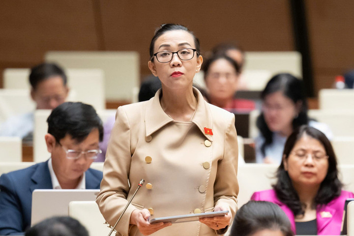 Đại biểu Trịnh Thị Tú Anh phát biểu. (Ảnh Media Quốc hội).