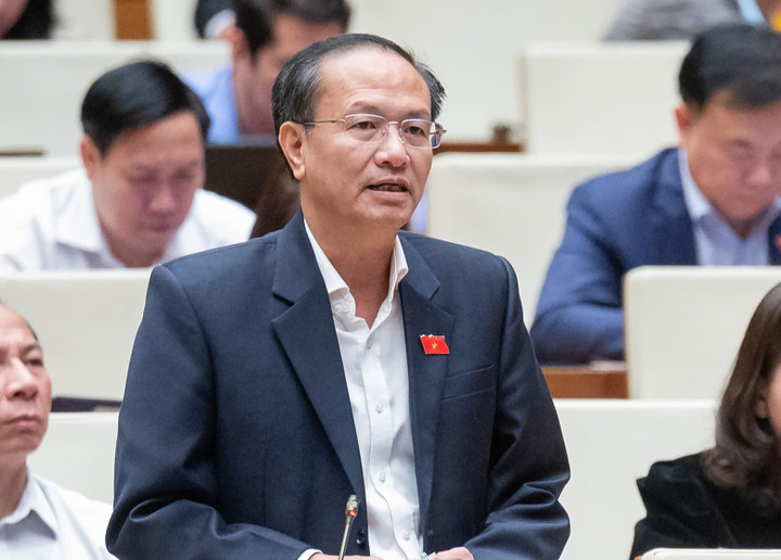 Đại biểu Đinh Ngọc Minh. (Ảnh: Media Quốc hội).