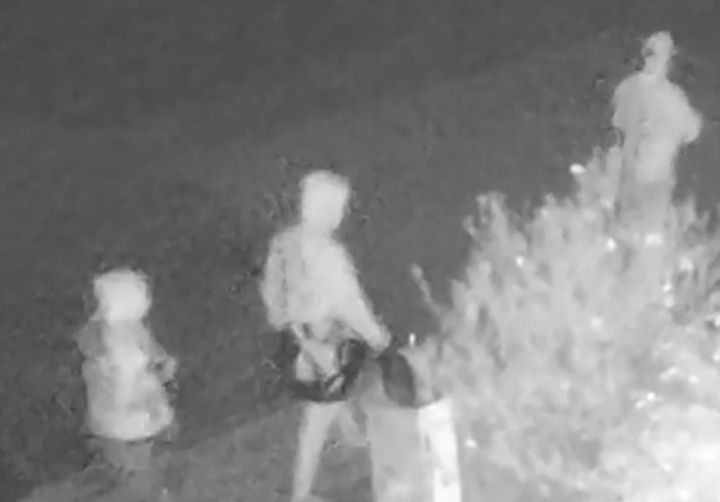 Camera giám sát ghi lại hình ảnh nhóm thủ phạm khi ra tay. (Nguồn: Santa Cruz County Sheriff's Office)