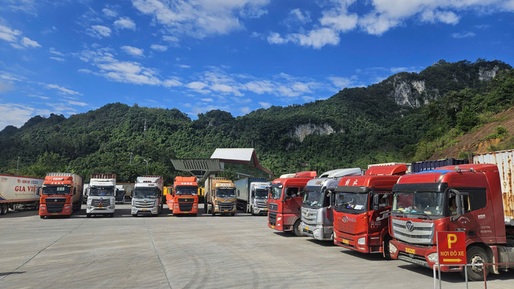 Hoàn thành chỉ tiêu thu NSNN là nhiệm vụ của Hải quan cửa khẩu quốc tế Hữu Nghị - 5