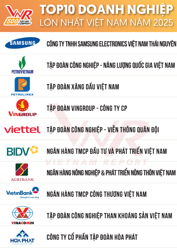 Hòa Phát lọt TOP 10 Doanh nghiệp lớn nhất Việt Nam - 1