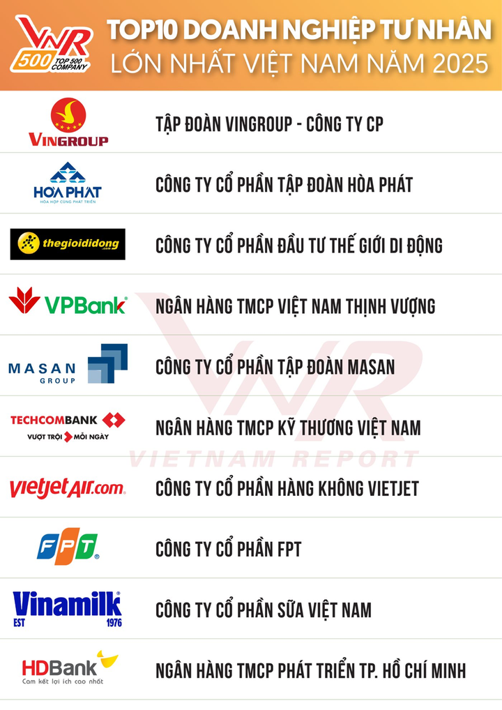 Hòa Phát lọt TOP 10 Doanh nghiệp lớn nhất Việt Nam - 2