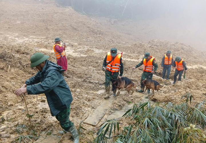 Lực lượng tham gia tìm kiếm gồm các đơn vị thuộc Quân khu 5, cùng với sự hỗ trợ của lực lượng công an, dân quân tự vệ địa phương. (Ảnh: Đ.N)