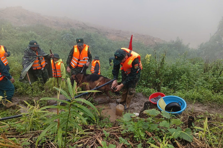 Sáng 16/11, hàng trăm cán bộ, chiến sĩ cùng chó nghiệp vụ tiếp cận hiện trường vụ sạt lở núi kinh hàng ở thôn Pứt (xã Hùng Sơn, TP Đà Nẵng) để tìm kiếm 3 nạn nhân mất tích. (Ảnh: Đ.N)