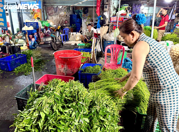 Rau muống tại chợ đầu mối nông sản Thủ Đức được bán sỉ với giá 45.000 đồng/bó.