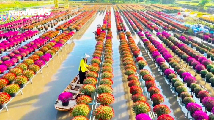 Chiêm ngưỡng vẻ đẹp thiên nhiên và tinh hoa làng nghề Sa Đéc trên bản đồ du lịch quốc tế.