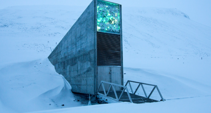 Hầm hạt giống ở Svalbard. (Nguồn: TIME)